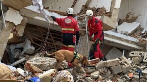 Nala, perrita bombera del Ayuntamiento de Alicante en VenezuelaImagen: GEA 2 Julio 2026