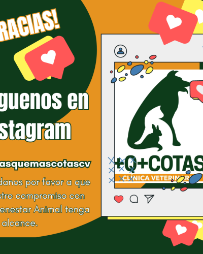 Síguenos en Instagram